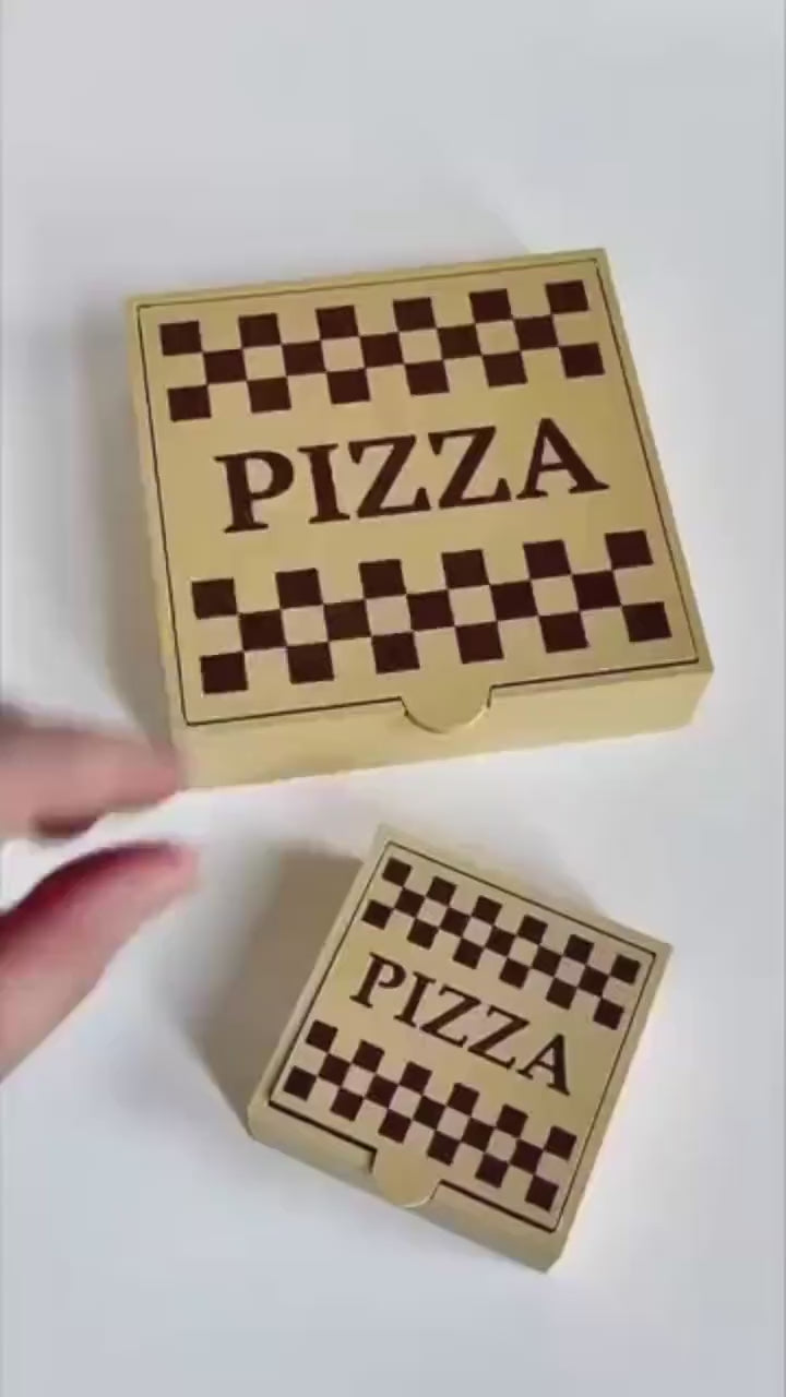 Mini Pizza Fidget Toy, Sensory Play Food (Pizza Box Included)