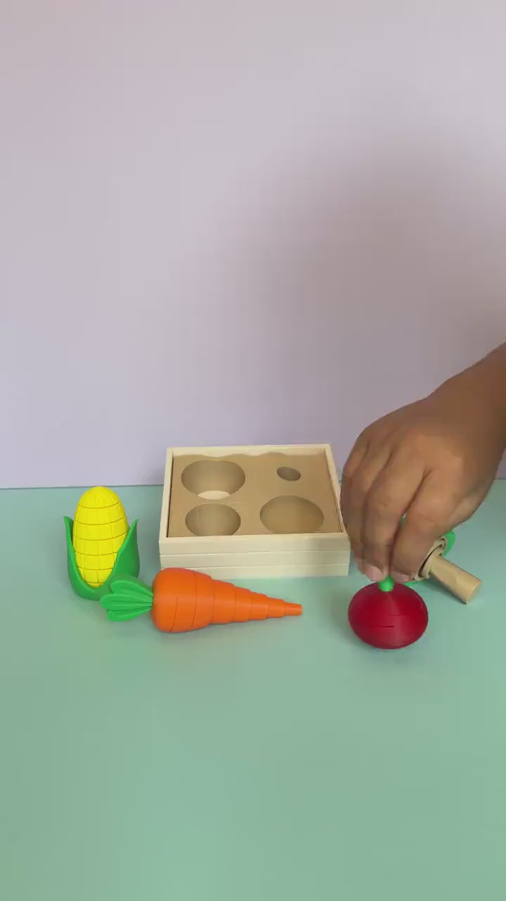 Vegetable Garden Fidget Set, Sensory Pretend Play Toy, Broccoli Corn Carrot & Radish